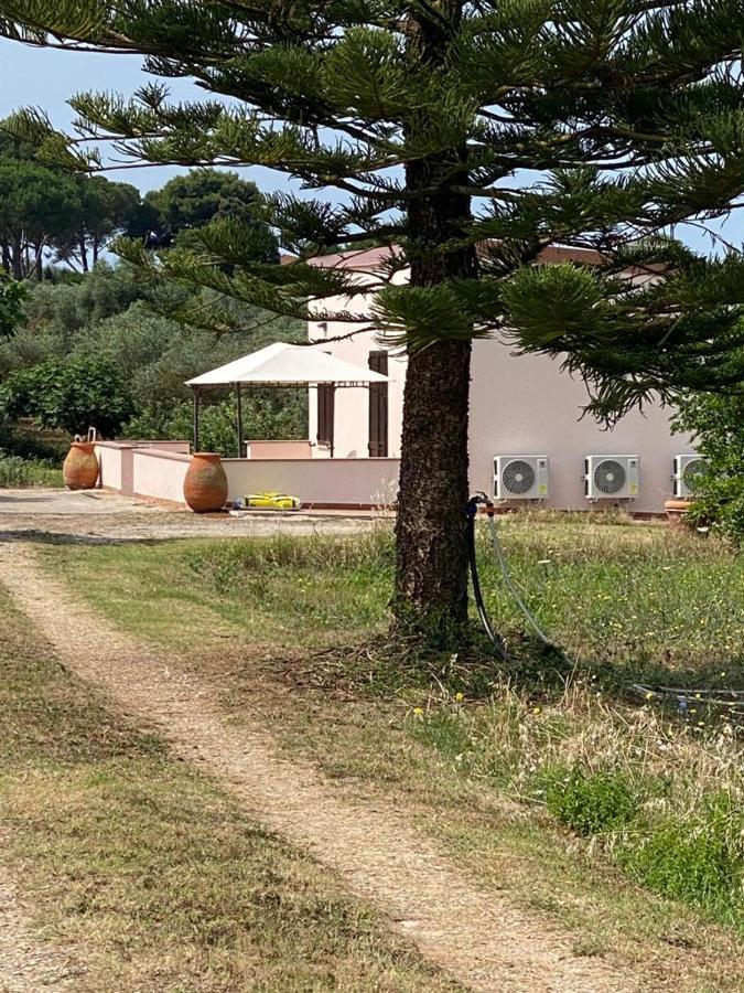 Miquel Fort - Casina Di Campagna アルゲーロ エクステリア 写真